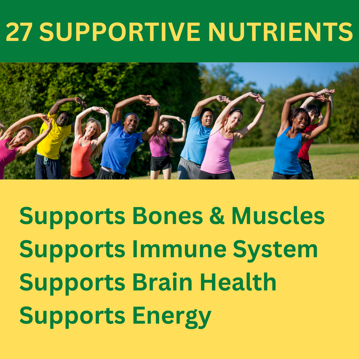 Greenfield Nutritions - Family Offer - Halal Multivitamin with Minerals for Women and Men Adult (Gelatin Free) Contains More Than 27 Halal vitamins in 60 Coated Tablets