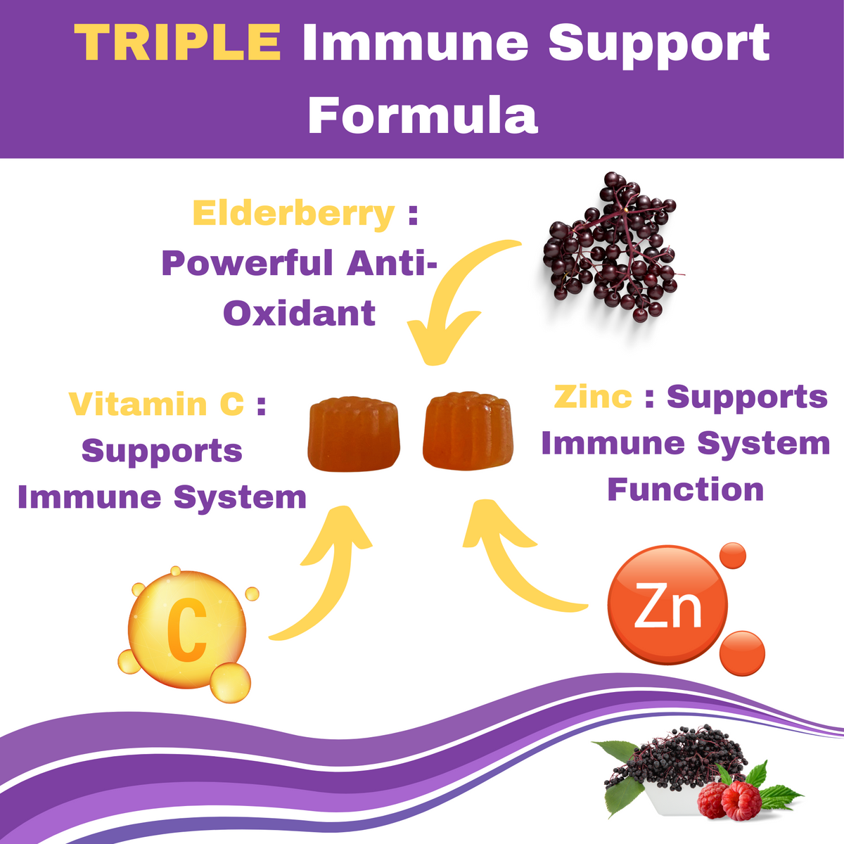 Greenfield Nutritions - Halal Immune System Support for Kids Contains Elderberry with Vitamin C and Zinc, 90 Count